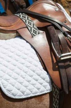 Numnahs and Saddle pads