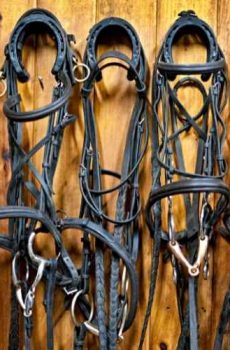 Halters