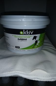 Aktiv MSM 1kg